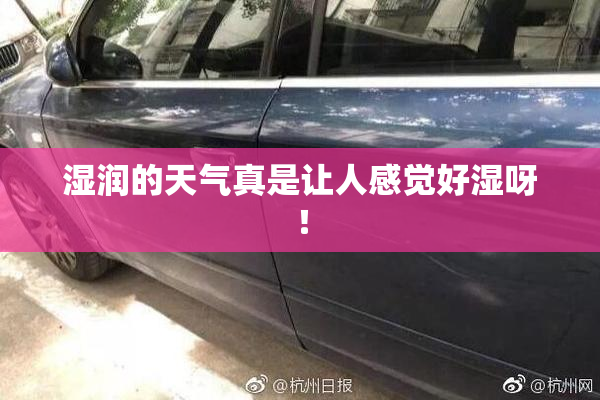 湿润的天气真是让人感觉好湿呀！