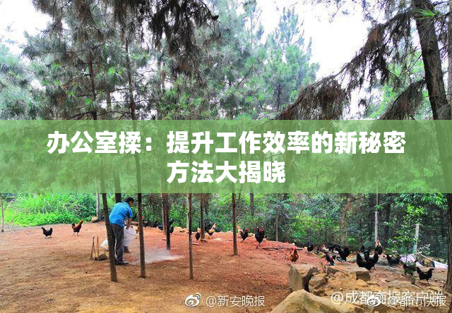 办公室揉：提升工作效率的新秘密方法大揭晓