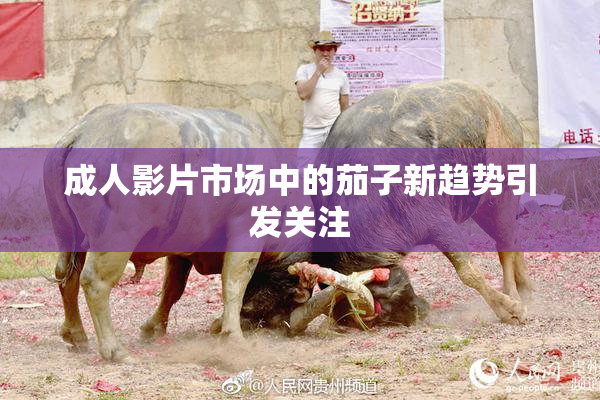 成人影片市场中的茄子新趋势引发关注