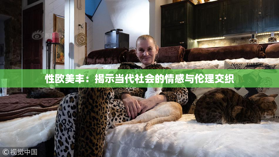 性欧美丰：揭示当代社会的情感与伦理交织