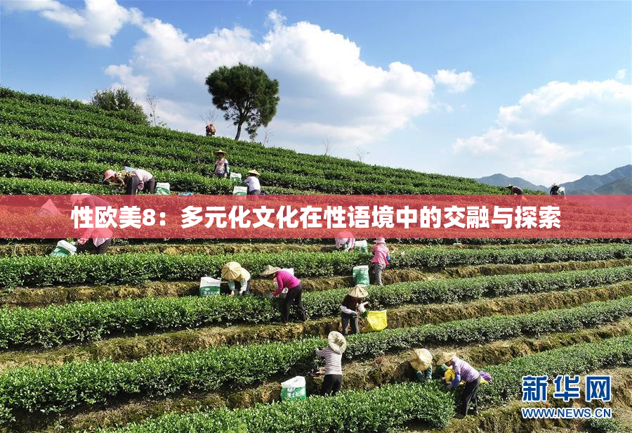 性欧美8：多元化文化在性语境中的交融与探索