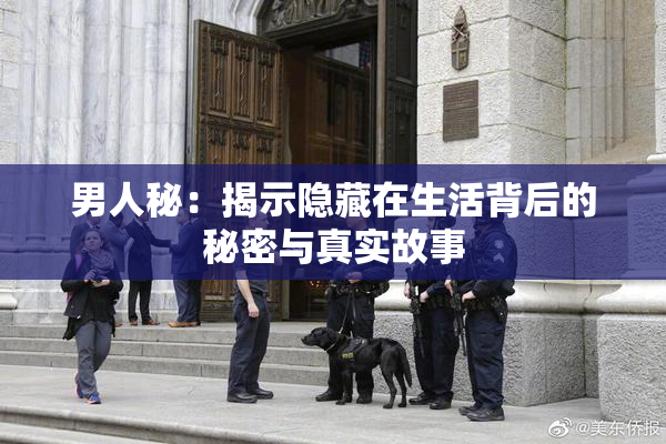 男人秘：揭示隐藏在生活背后的秘密与真实故事