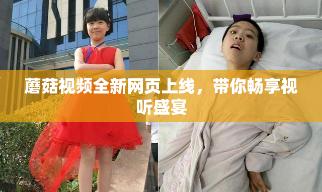 蘑菇视频全新网页上线，带你畅享视听盛宴