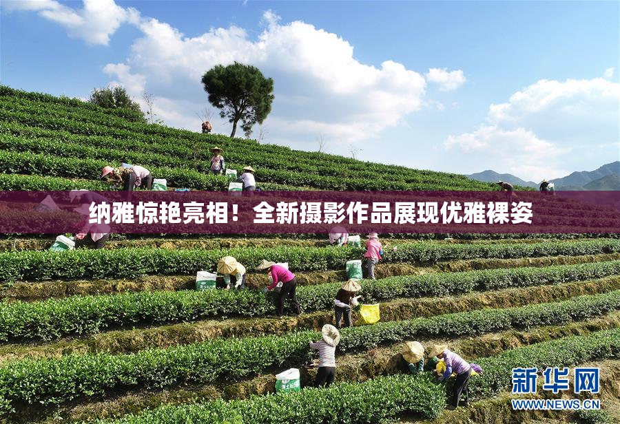 纳雅惊艳亮相！全新摄影作品展现优雅裸姿