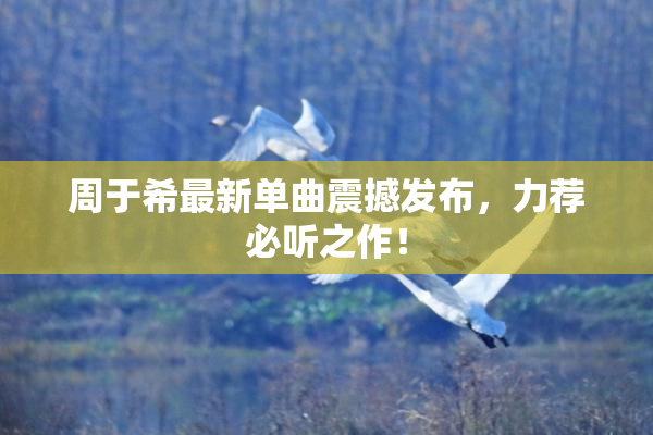 周于希最新单曲震撼发布，力荐必听之作！
