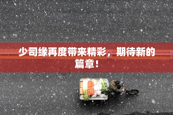 少司缘再度带来精彩，期待新的篇章！