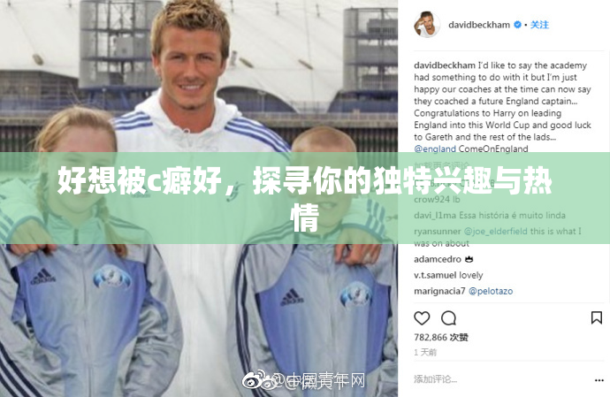 好想被c癖好，探寻你的独特兴趣与热情