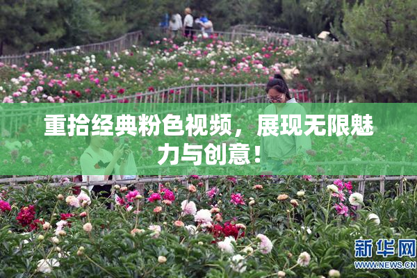 重拾经典粉色视频，展现无限魅力与创意！