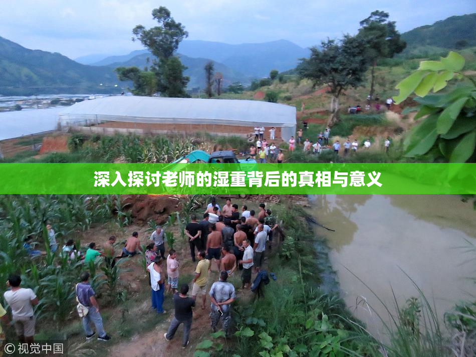 深入探讨老师的湿重背后的真相与意义
