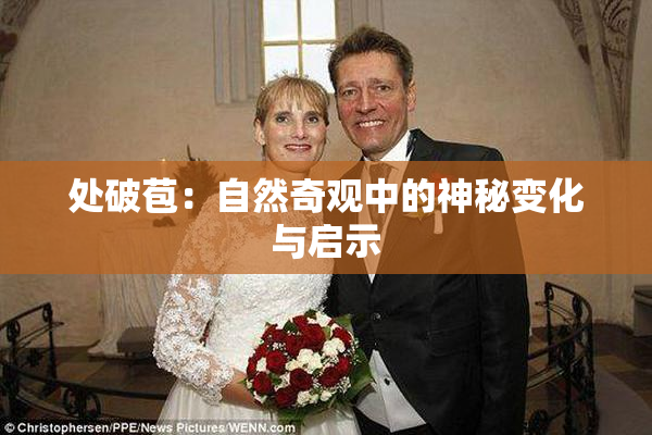 处破苞：自然奇观中的神秘变化与启示