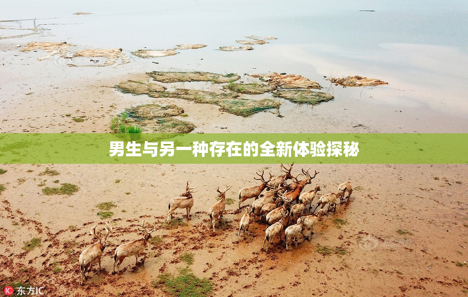 男生与另一种存在的全新体验探秘