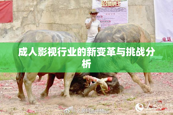 成人影视行业的新变革与挑战分析