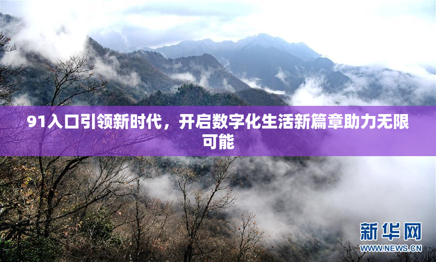 91入口引领新时代，开启数字化生活新篇章助力无限可能