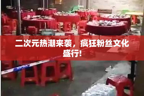 二次元热潮来袭，疯狂粉丝文化盛行!