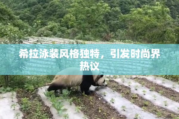 希拉泳装风格独特，引发时尚界热议