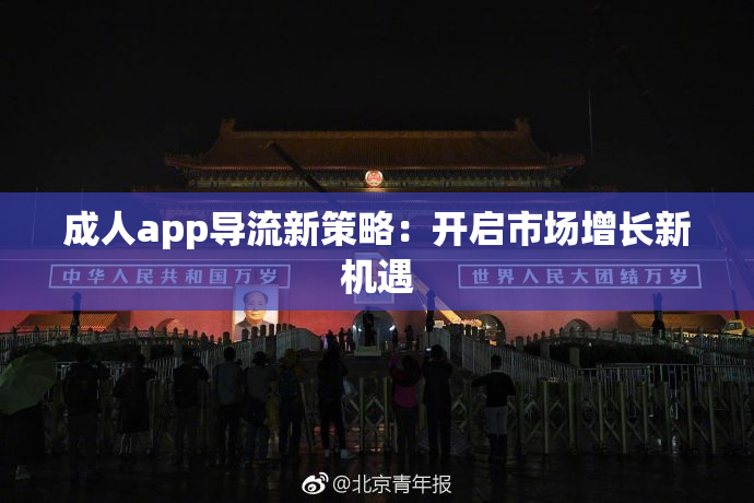 成人app导流新策略：开启市场增长新机遇