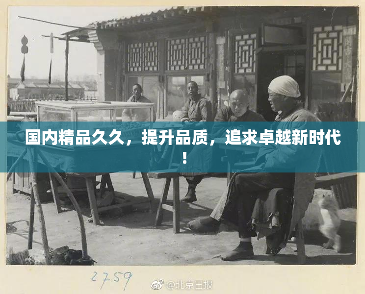 国内精品久久，提升品质，追求卓越新时代！