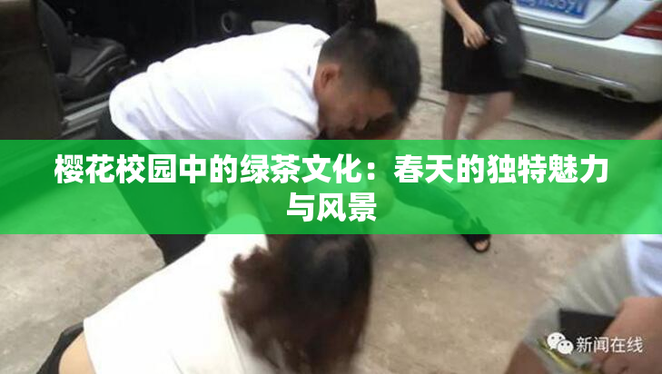 樱花校园中的绿茶文化：春天的独特魅力与风景