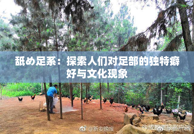 舐め足系：探索人们对足部的独特癖好与文化现象