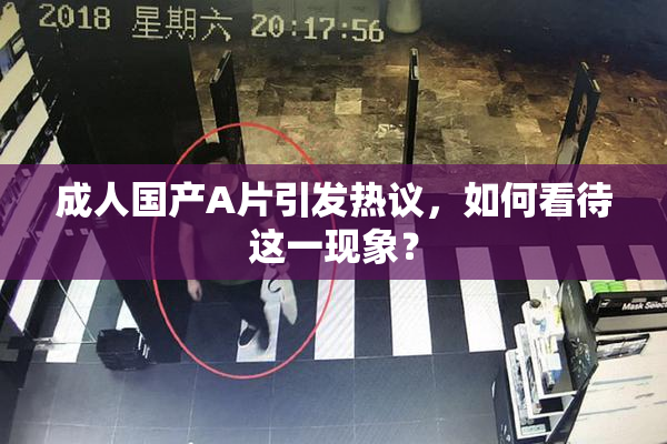 成人国产A片引发热议，如何看待这一现象？