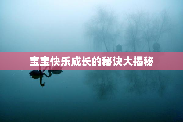 宝宝快乐成长的秘诀大揭秘