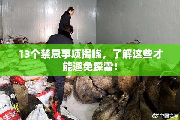 13个禁忌事项揭晓，了解这些才能避免踩雷！