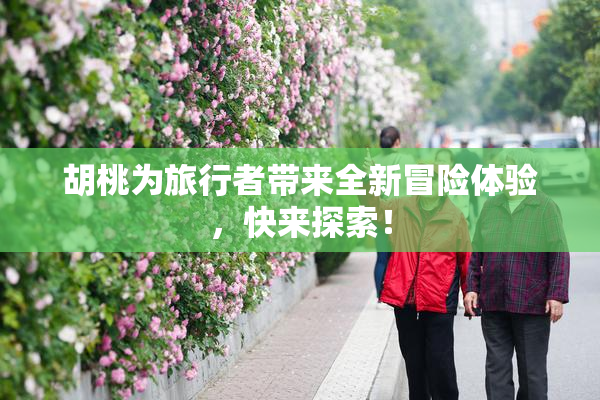 胡桃为旅行者带来全新冒险体验，快来探索！