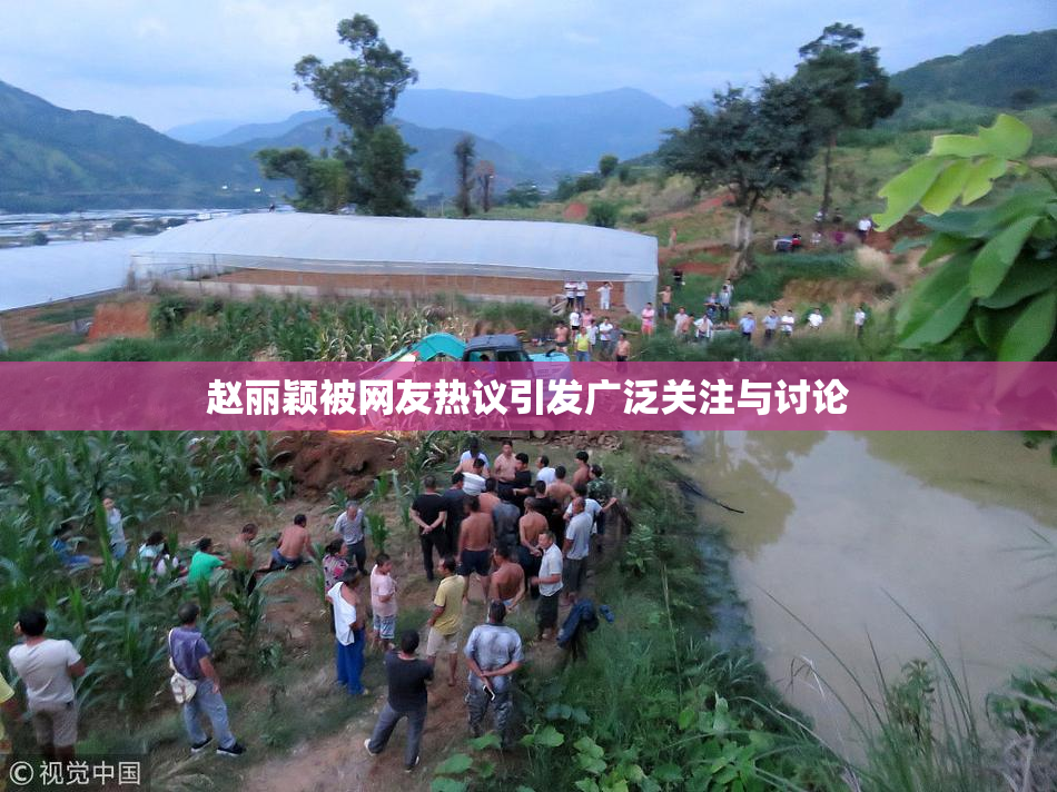 赵丽颖被网友热议引发广泛关注与讨论