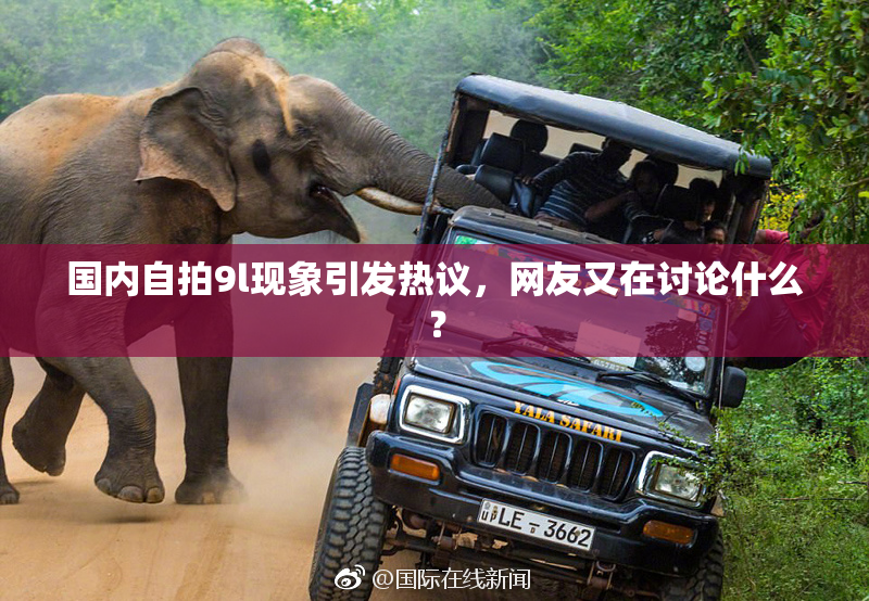 国内自拍9l现象引发热议，网友又在讨论什么？