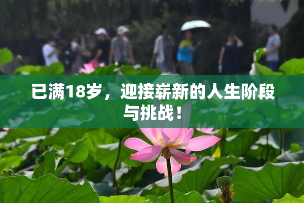 已满18岁，迎接崭新的人生阶段与挑战！
