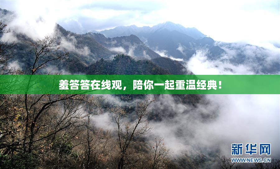 羞答答在线观，陪你一起重温经典！