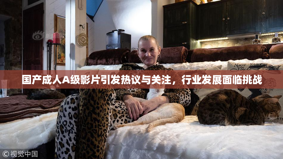国产成人A级影片引发热议与关注，行业发展面临挑战