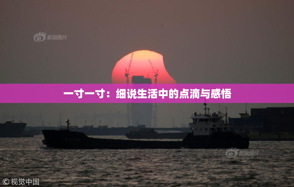 一寸一寸：细说生活中的点滴与感悟