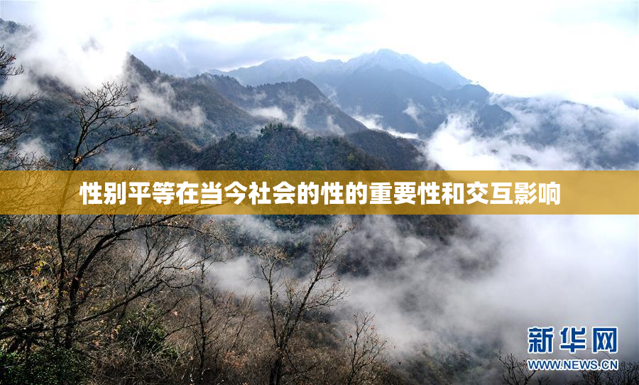 性别平等在当今社会的性的重要性和交互影响
