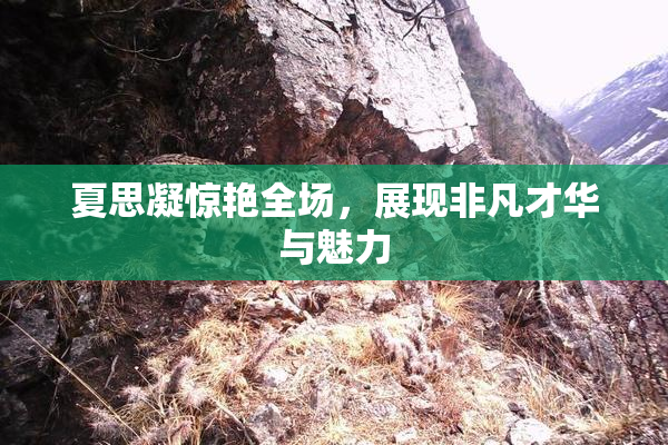 夏思凝惊艳全场，展现非凡才华与魅力