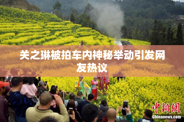 关之琳被拍车内神秘举动引发网友热议