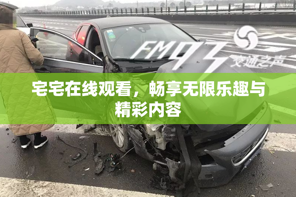 宅宅在线观看，畅享无限乐趣与精彩内容