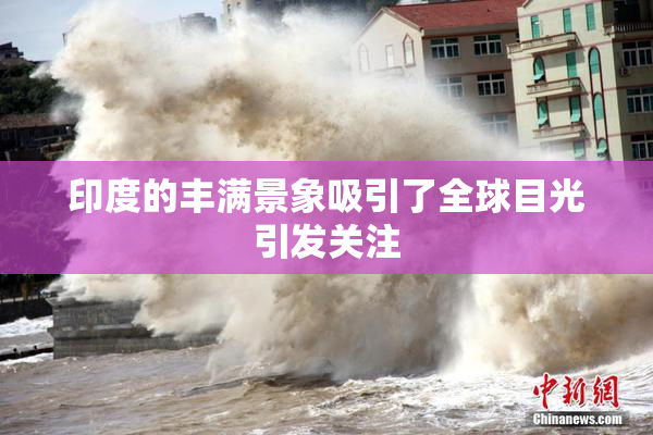 印度的丰满景象吸引了全球目光引发关注