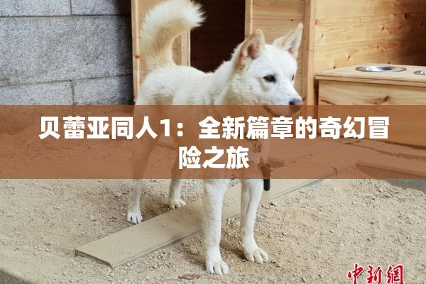 贝蕾亚同人1：全新篇章的奇幻冒险之旅