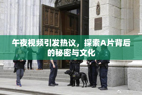 午夜视频引发热议，探索A片背后的秘密与文化