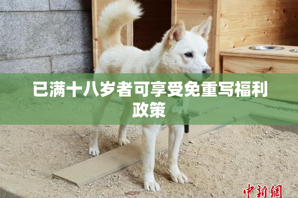 已满十八岁者可享受免重写福利政策