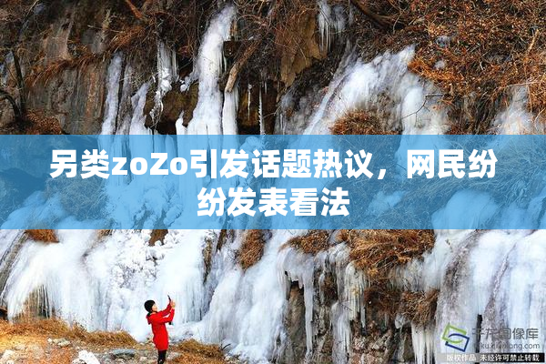另类zoZo引发话题热议，网民纷纷发表看法