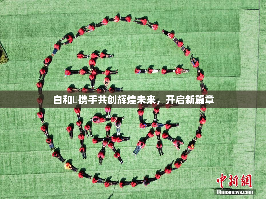 白和晄携手共创辉煌未来，开启新篇章