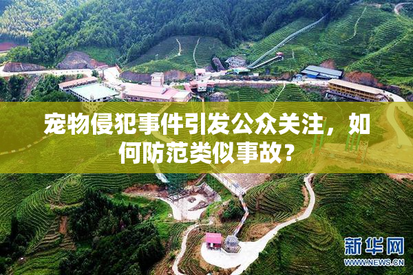 宠物侵犯事件引发公众关注，如何防范类似事故？