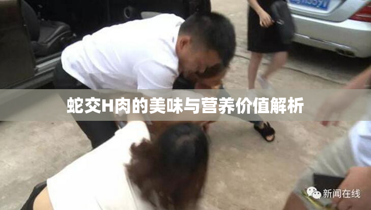 蛇交H肉的美味与营养价值解析