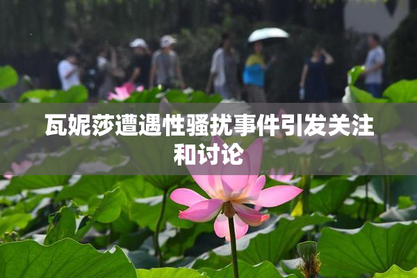 瓦妮莎遭遇性骚扰事件引发关注和讨论