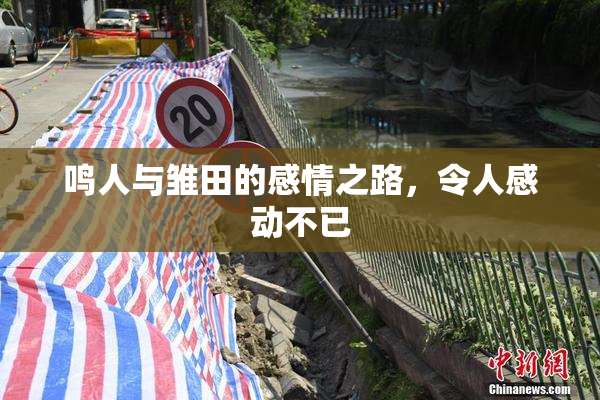 鸣人与雏田的感情之路，令人感动不已