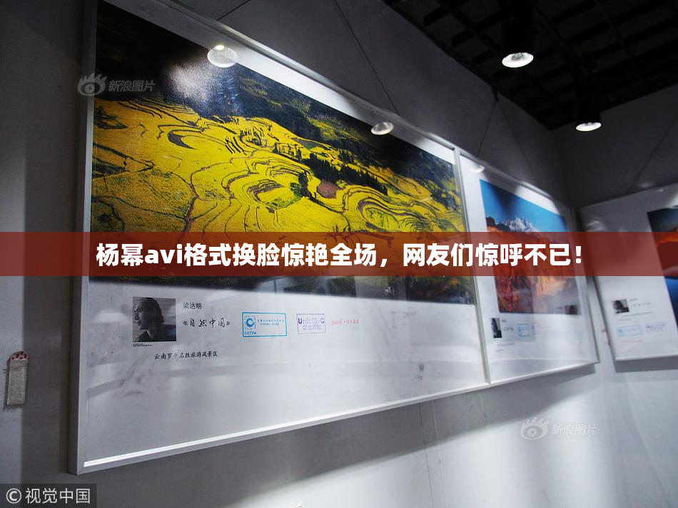 杨幂avi格式换脸惊艳全场，网友们惊呼不已！