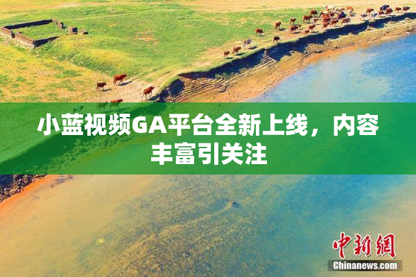 小蓝视频GA平台全新上线，内容丰富引关注