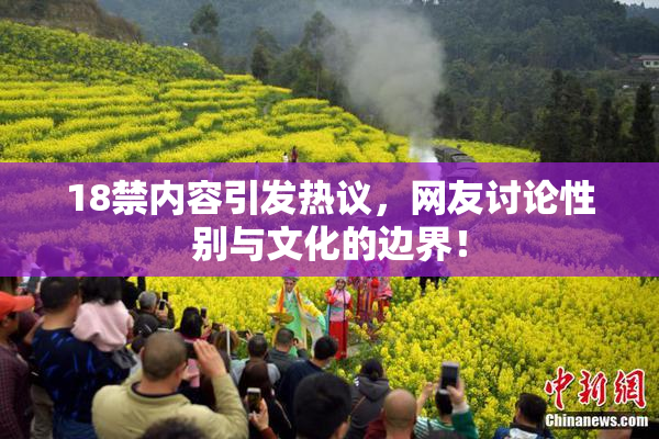 18禁内容引发热议，网友讨论性别与文化的边界！